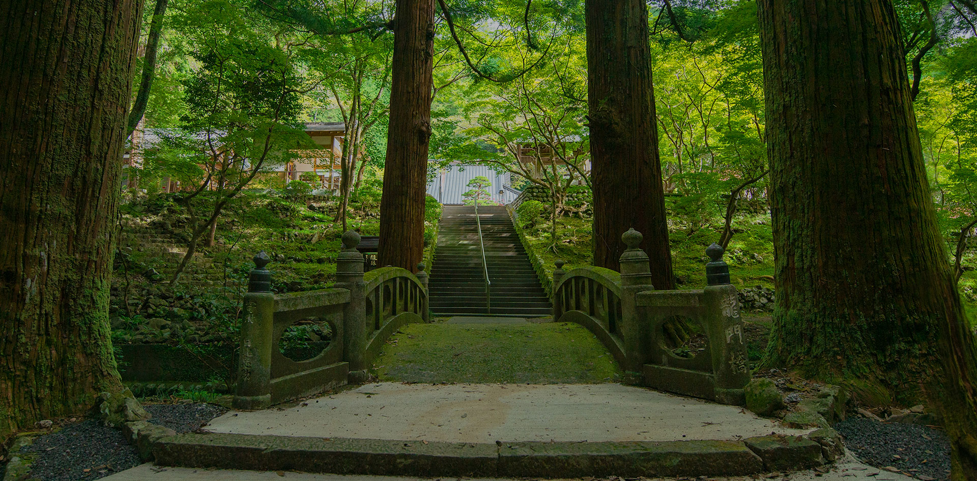静岡市葵区 洞慶院(とうけいいん)